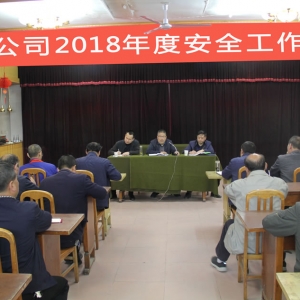 公司召开2018年度安全工作会议