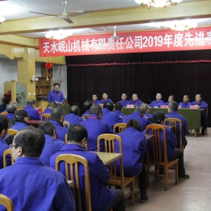 公司召开2019年度先进表彰大会