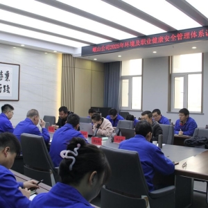 公司顺利通过2025年度环境管理体系与职业健康安全管理体系认证 ... ...