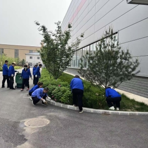 公司各单位部门开展绿化卫生责任区清洁活动